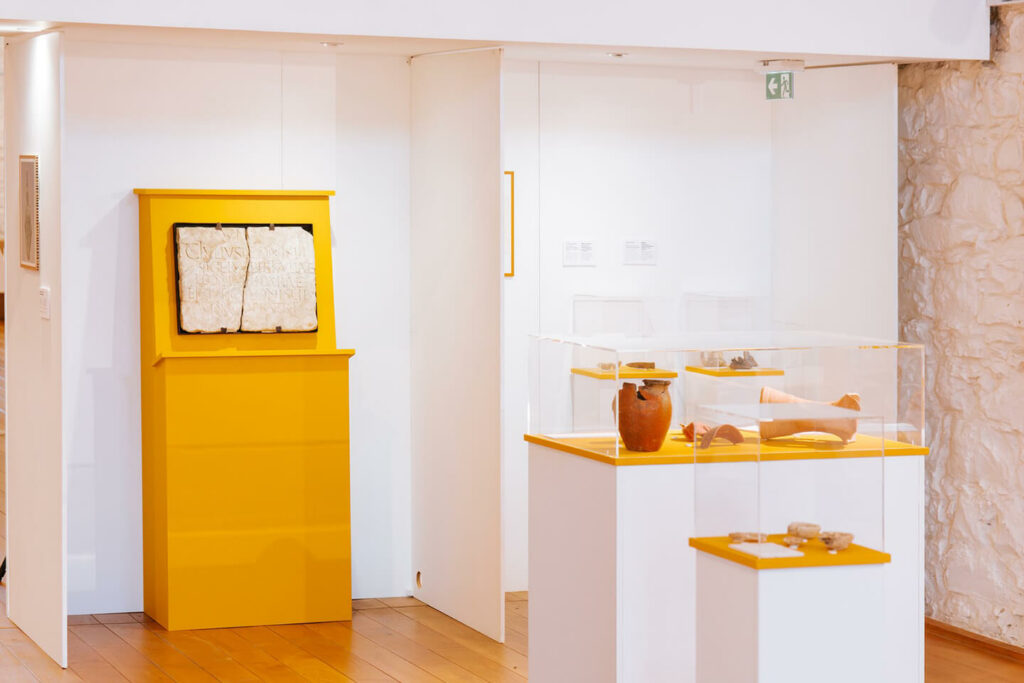 Exposition Saltus Vasconum (photo Florian Rayneau)